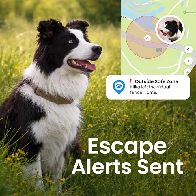 Pet GPS Tracker for Dogs, Real Time Location Tracking Device Lightweight Waterproof Collar Tracker with App Long Battery Life Subscription Required