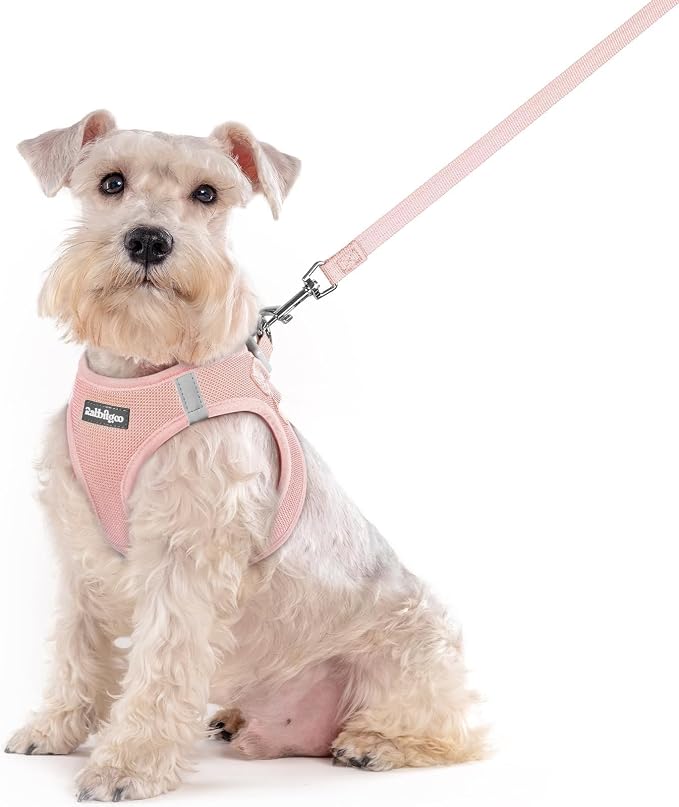 rabbitgoo Dog Harness Medium Sized and Leash Set, Step-in Puppy Pet Vest | Light, Soft, Breathable Air Mesh, Easy on and Remove with Hook & Loop, Secure Reflective for Walking, Pink XXL