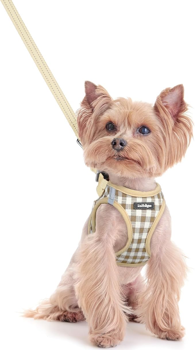 rabbitgoo Dog Harness Small Sized and Leash Set, Step-in Puppy Pet Vest | Light, Soft, Breathable Air Mesh, Easy on and Remove with Hook & Loop, Secure Reflective for Walking, Beige Check XXS