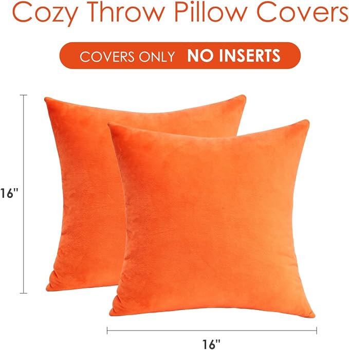 Fall Orange Throw Pillow Covers Decorative Velvet Set of 2 16x16 Inch Pillow Covers, Soft Burnt Orange Pillowcases for Couch Sofa Bed Living Room, Farmhouse Boho Decor, Accent Cushion Covers