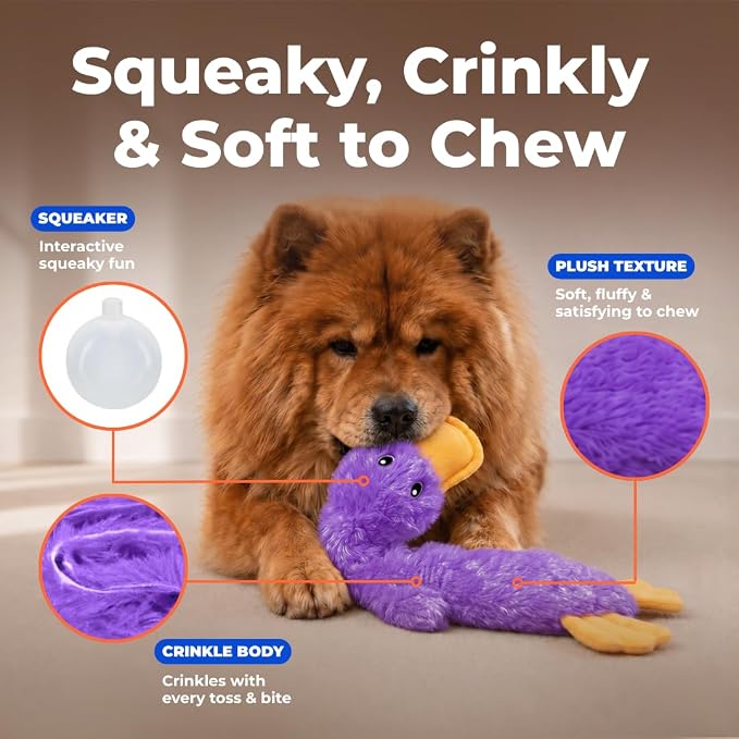 Best Pet Supplies Interactive Squeaky Dog Toy - Crinkle Duck, Purple | Stuffing Free Body, Soft, Squeaks & Crinkles, No Mess, Perfect for Moderate Chewers, Toss and Fetch Play