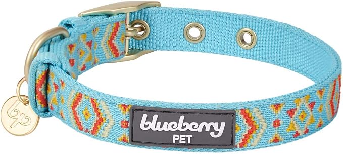 Blueberry Pet Southwestern Tribal Print Celeste Blue Adjustable Dog Collar with Metal Buckle, Neck 13-16.5", for Medium Breed