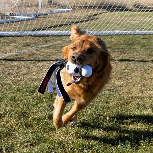 KONG Wubba Sport Dog Toy – Reinforced Tug & Toss Toy with Squeaker and Floppy Tails for Fetch & Interactive Play (Soccer, Large)