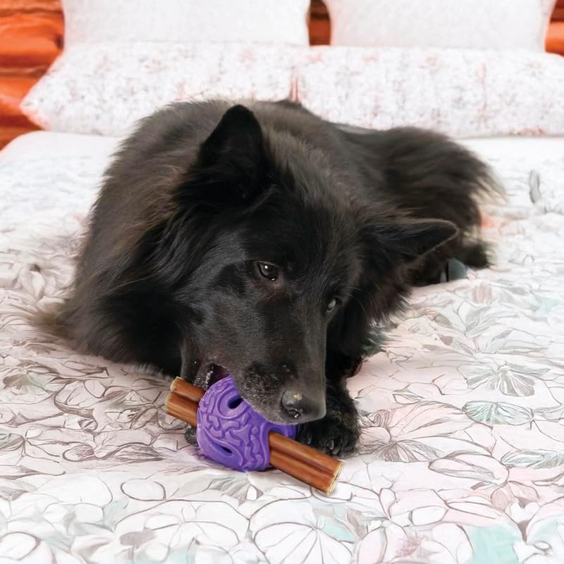 KONG Squeezz Flex Ball – Flexible Treat & Chew Holder for Dogs – Interactive Dog Toy for Fetch, Floating, & Travel – Holds Treats, Chews, & Bully Sticks (Medium/Large)