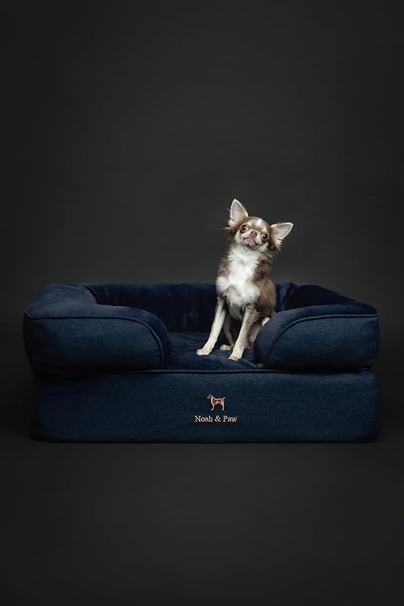 NOAH & PAW Dog Bed, 28x23x11 Inch, Orthopedic Dog Beds for Medium Size Pets, Eggshell Memory Foam Infused with Cooling Gel, Inner Cover, Water Resistant, Machine Washable (Denim Sofa Collection)