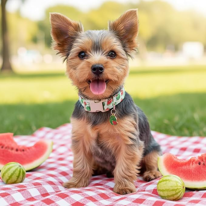 Summer Dog Collar for Medium Dogs, Cute Dog Collar with Watermelon Pattern and Pendant, Green Pet Collar with Soft Cotton Fabric and Robust Buckle