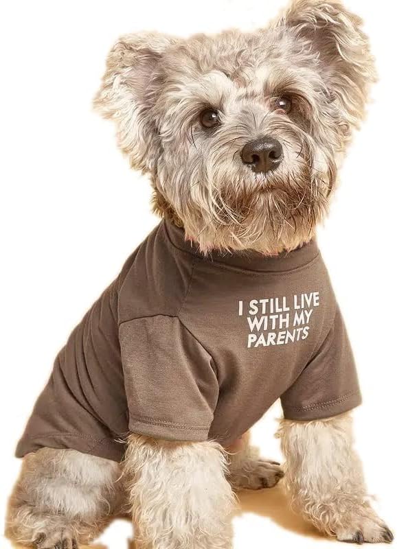 Cute Dog Clothes T Shirt for Medium Dog and Small Dogs Girl Boy,Puppy.Breathable Soft Dog Costume for Pet Dogs Cats, Pet Pullover Jumper, Cat Clothes (XL-(16~20lb), Chest~20", Khaki)
