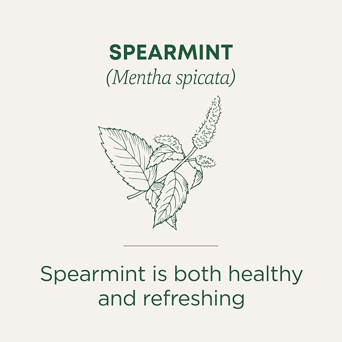 Traditional Medicinals Organic, Spearmint Tea - Supports Everyday Wellness, Healthy & Refreshing - Kosher, Non-GMO, Caffeine-Free, Compostable - 16 Tea Bags