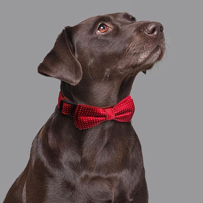 Dog Collar with Bow Tie for Girl or Boy Gift Soft Durable Bowtie Red Dot Small