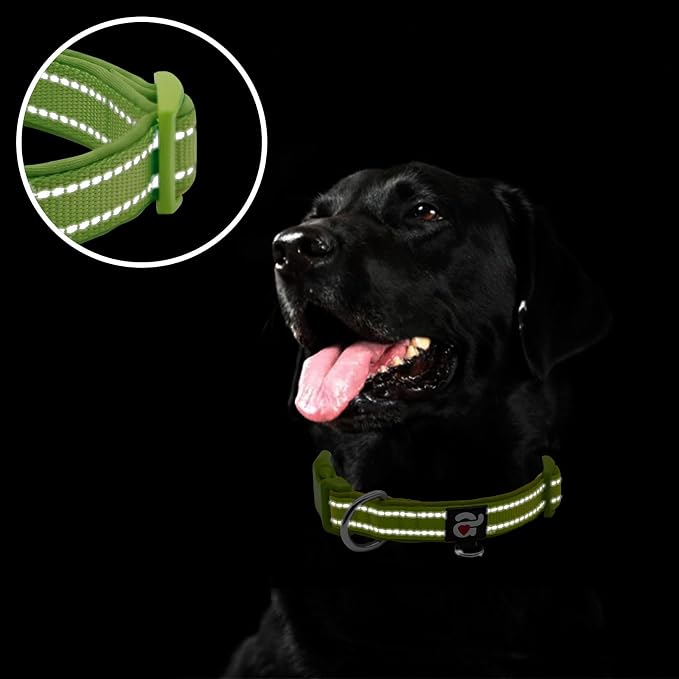 azuza Reflective Dog Collar, Neoprene Padded Puppy Collar, Army Green, XS