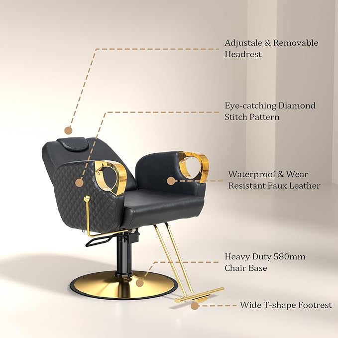 OmySalon All Purpose Salon Chair with Reclining Back, Stylist Chairs for Salon, Hydraulic Barber Chair Heavy Duty Hair Chair for Shampoo Makeup Threading Waxing