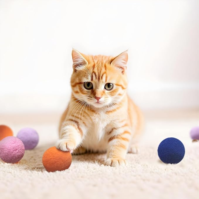 Cat Toys for Indoor Cats, 20 Packs Cat Toys Balls