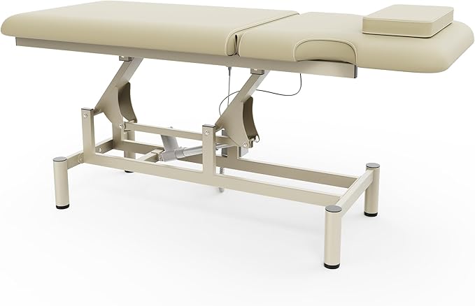 Professional Electric Massage Table, 2 Motors Hydraulic Electric Lift Adjustable Backrest and Height Lifting Functions for Treatment/Physical Therapy/Spinal Massage/Facial Spa/Waxing - Beige Gray