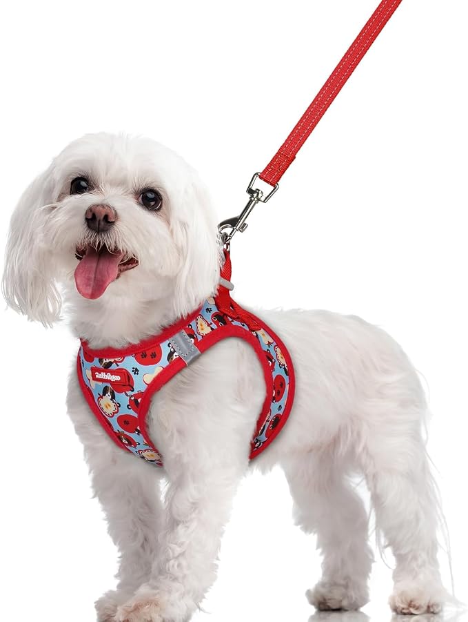 rabbitgoo Dog Harness Small Sized and Leash Set, Step-in Puppy Pet Vest | Light, Soft, Breathable Air Mesh, Easy on and Remove with Hook & Loop, Secure Reflective for Walking, Apple Pups M
