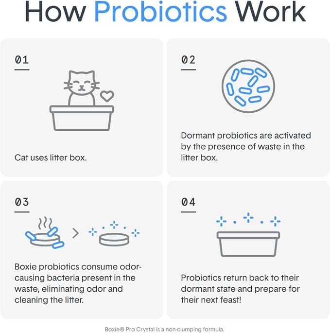 Boxie Probiotic Lightweight Clumping Cat Litter 40+ Day Odor Control 6.5 lb