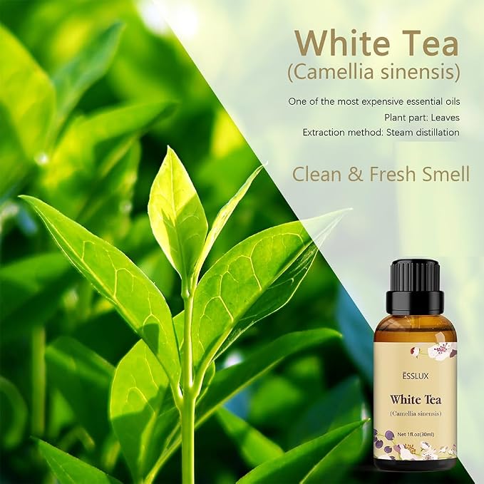 White Tea Essential Oil, ESSLUX Aromatherapy Essential Oils for Diffuser, Massage, Soap, Candle Making, Home Fragrance, 30 ml