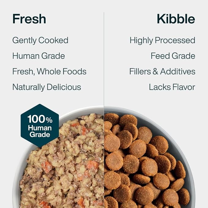 JustFoodForDogs Pantry Fresh Wet Dog Food, Complete Meal or Dog Food Topper, Lamb & Brown Rice Human Grade Dog Food Recipe - 12.5 oz (Pack of 12) | Fresh Pet Meal or Fresh Dog Food Topper, Human Grade Recipe Made With Whole Foods, Preservative-Free, 12...