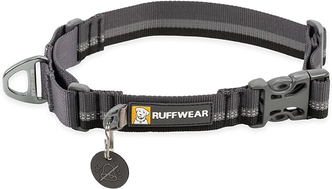 Ruffwear, Web Reaction Martingale Dog Collar, Basalt Gray, 11"-14"