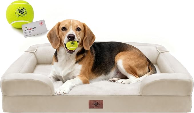 Waterproof Orthopedic Dog Bed for Medium Large Sized Dogs | Memory Foam Pet Bed Sofa with Bolster, Dog Couch with Washable Cover & Non-Slip Bottom, 36x27 Inch, Beige