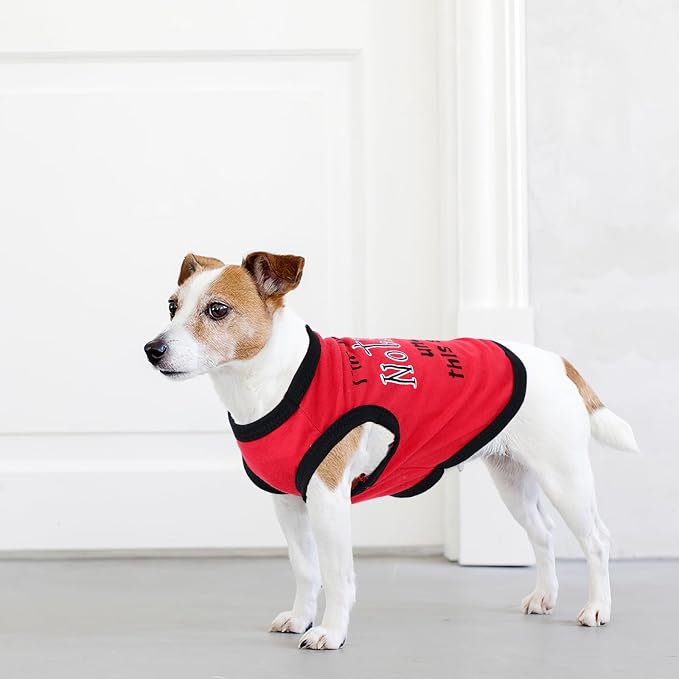 4 Pieces Dog Clothes Puppy Shirts for Small Dogs Boy Male Spring Summer Soft Cute Pattern Pet Tshirts Outfit for Cat Doggie (Small)