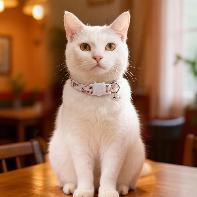 Cat Collars for Girl Cats & Boys, 2 Pack Soft Cotton Breakaway Collar with Removable Bell and Cute Charms, Adjustable Safety Pet Necklace, Ocean