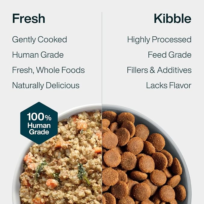 JustFoodForDogs Pantry Fresh Wet Dog Food, Complete Meal or Dog Food Topper, Beef & Russet Potato Human Grade Dog Food Recipe - 12.5 oz (Pack of 6) | Fresh Pet Meal or Fresh Dog Food Topper, Human Grade Recipe Made With Whole Foods, Preservative-Free, ...