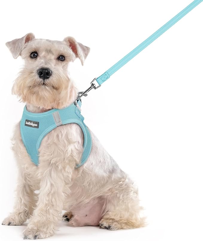 rabbitgoo Dog Harness Medium Sized and Leash Set, Step-in Puppy Pet Vest | Light, Soft, Breathable Air Mesh, Easy on and Remove with Hook & Loop, Secure Reflective for Walking, Mint Blue XXL