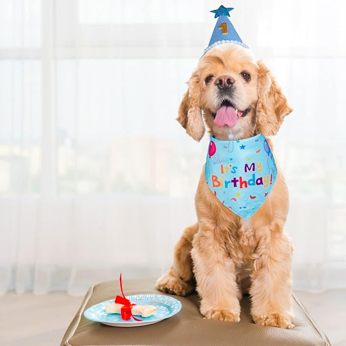 Dog Birthday Party Supplies,Dog Birthday Bandana,Dog Birthday Hat | Dog Birthday Decorations,Dog Boy Girl Birthday Party Hat with Numbers for Large Medium Small Dogs Pet (Blue),Soft,Breathable