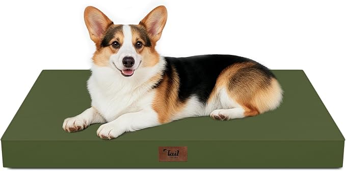Outdoor Waterproof Orthopedic Dog Bed for Large Dogs | Egg Crate Foam for Joint Support, TPU Waterproof Layer, Machine Washable 1680D Oxford Cover, 36 x 27 Inch, Up to 65 lbs