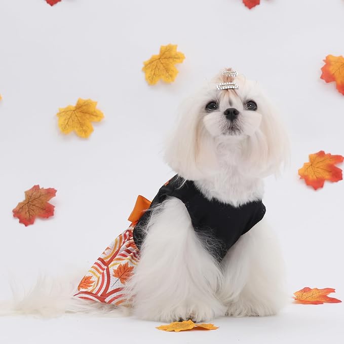 CuteBone Dog Mesh Dress Thanksgiving Puppy Sundress Pet Outfit Summer Fashion for Small Dogs Girl Cat Clothes