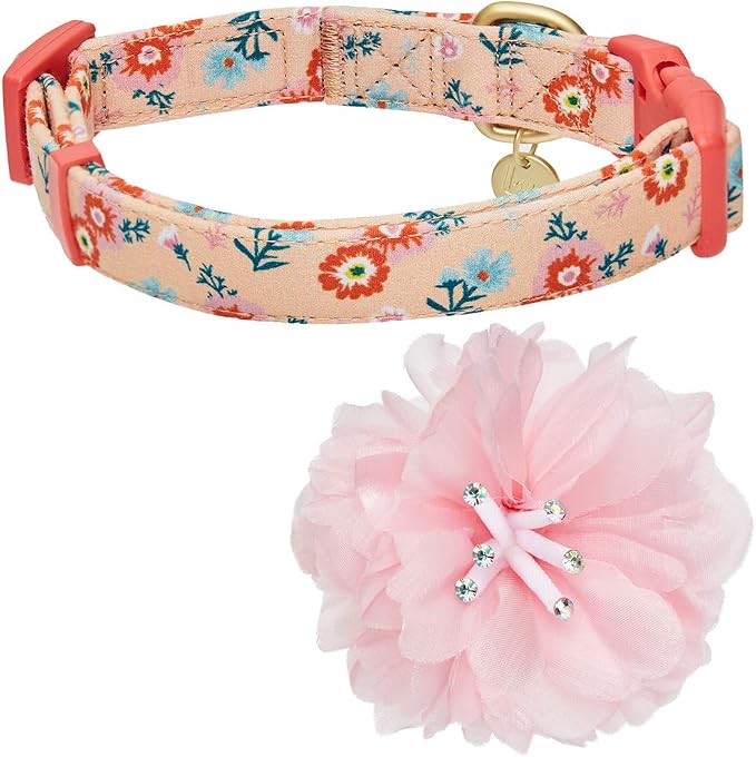Blueberry Pet Floral Power Cosmos Designer Orange Adjustable Dog Collar with Detachable Pink Peony, Large, Neck 18"-26"
