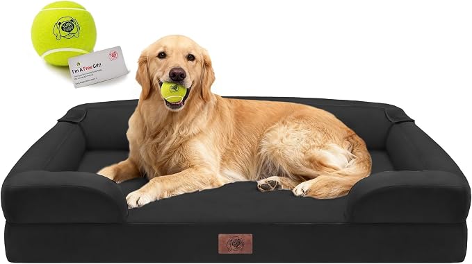 Waterproof Orthopedic Dog Bed for Extra Large Sized Dogs | Memory Foam Pet Bed Sofa with Bolster, Dog Couch with Washable Cover & Non-Slip Bottom, 42x30 Inch, Black