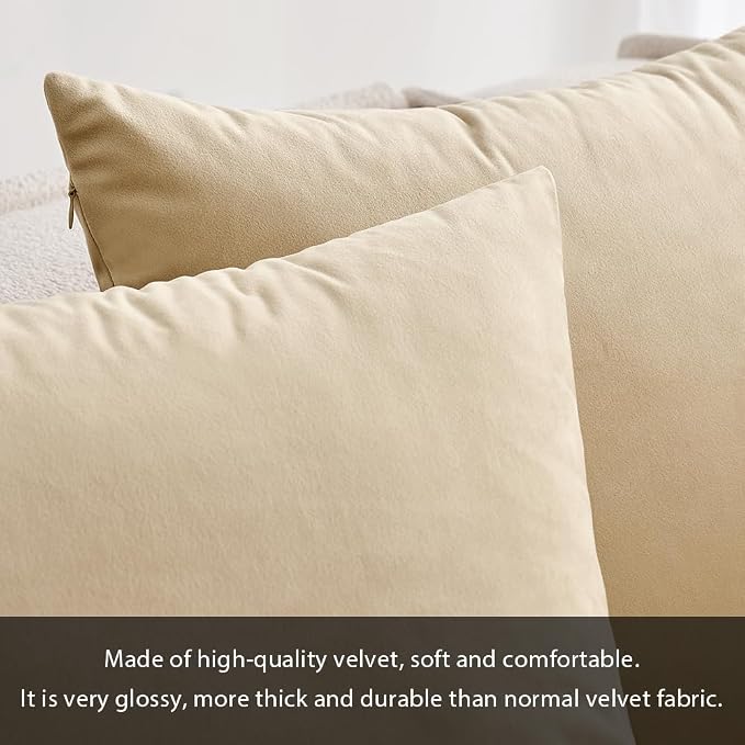 MIULEE 12x20 Inch Lumbar Velvet Throw Pillow Cover Set of 1 Beige | Soft Luxury Decorative Throw Pillow Cover, Single Rectangle Cushion Case, Home Decor for Chair Couch Sofa Bedroom Car Bed