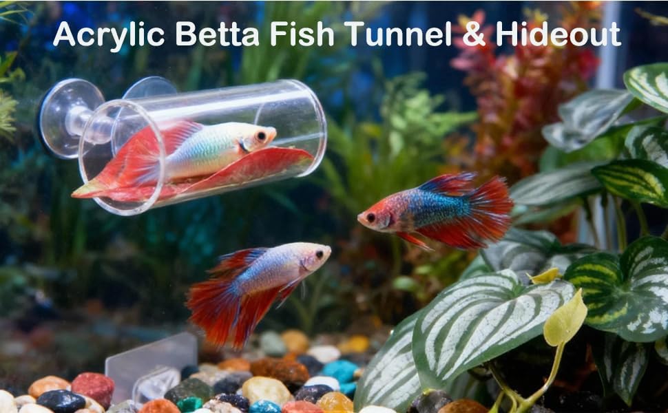 11pcs Betta Fish Enrichment Toys Fish Hideout Betta Hoop Exercise Rings Floating Mirror Balls Tank Feeding Rings Training Ring Feeder Hammock Acrylic Tube Breeding Aquarium Decor Accessory