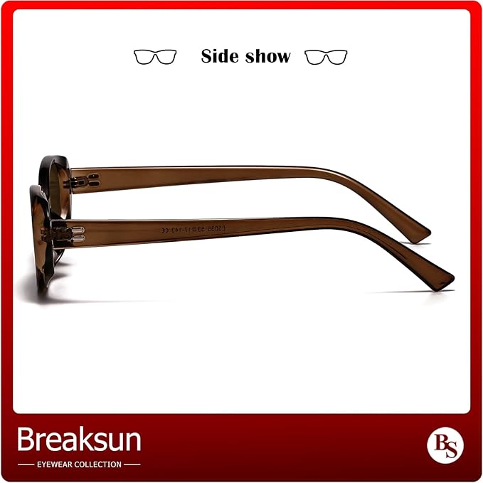 Breaksun Retro Oval Sunglasses for Women Men Fashion Small Oval Sunglasses 90s Vintage Shades