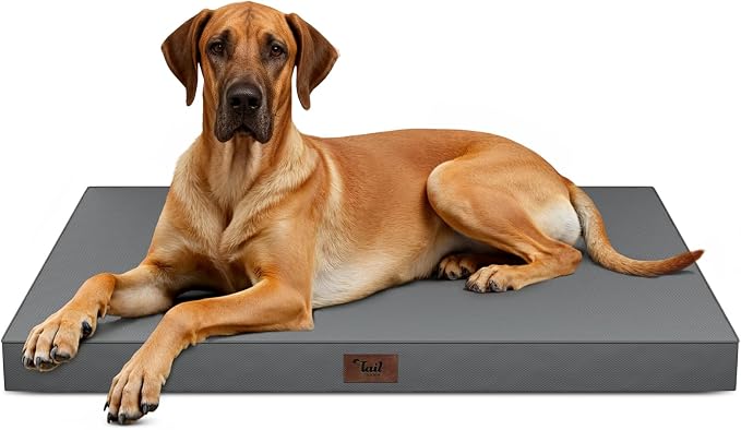 Jumbo Waterproof Orthopedic Dog Bed for Extra Large Dogs | Egg Crate Foam, Pressure Relief, Fits 54x37 Crates, Machine Washable 1680D Oxford Cover, Indoor & Outdoor Use, Up to 150 lbs