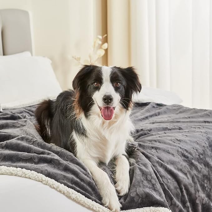 Dog Blankets for Large Dogs - Waterproof Cat Blanket Washable - Sherpa Fleece Puppy Blanket, Soft Plush Reversible Throw Protector for Bed Couch Car Sofa, 60"X80", Dark Grey