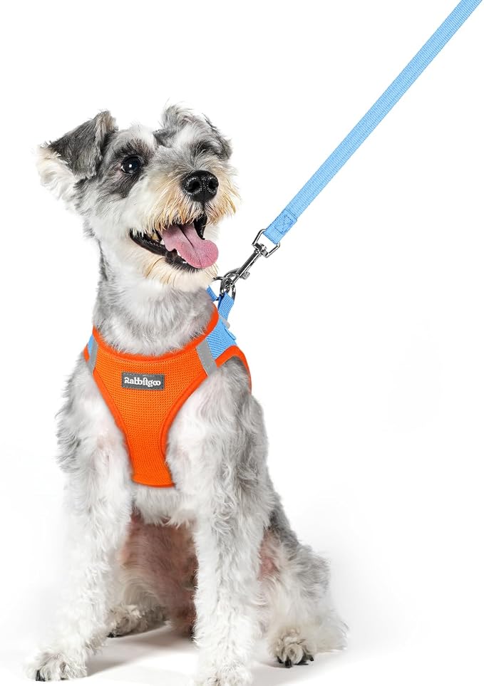 rabbitgoo Dog Harness Medium Sized and Leash Set, Step-in Puppy Pet Vest | Light, Soft, Breathable Air Mesh, Easy on and Remove with Hook & Loop, Secure Reflective for Walking, Blue & Orange XL