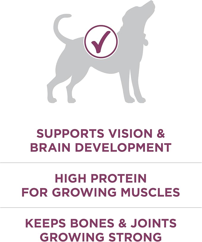 Purina ONE Plus Healthy Puppy Dry Food, Chicken, 8 lb Bag | High protein dog food for puppies, real chicken, DHA to support vision and brain development, antioxidants for immune support