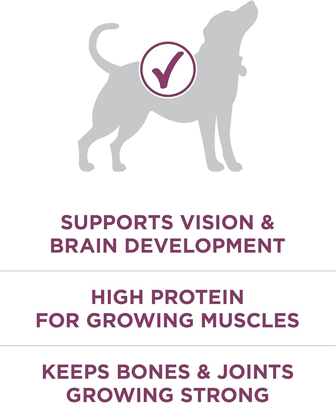 Purina ONE Plus Healthy Puppy Dry Food, Chicken, 16.5 lb Bag | High protein dog food for puppies, real chicken, DHA to support vision and brain development, antioxidants for immune support