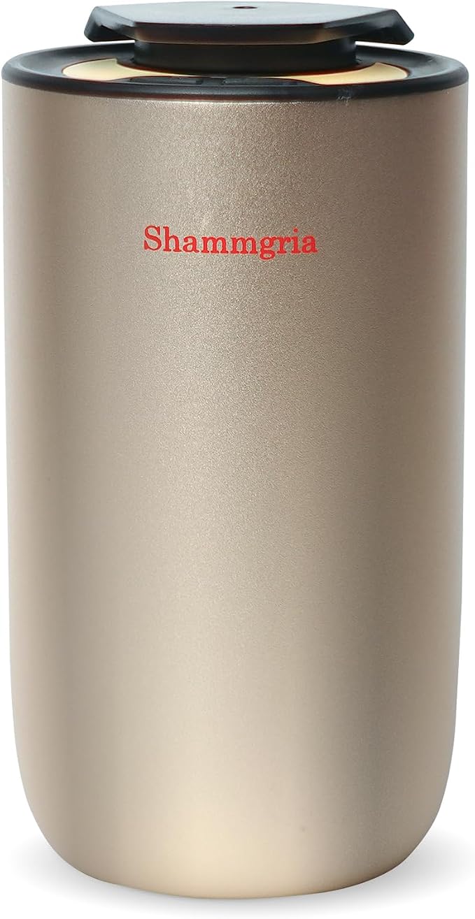 Air Oil Diffuser for Home Waterless Essential Oil Diffuser, Rechargeable USB Aromatherapy Scent Diffuser with LED Lights, Home Fragrance Diffuser for Room, Studio, Office, Bedroom-Champagne
