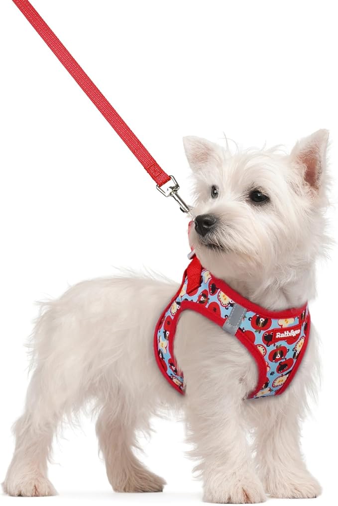rabbitgoo Dog Harness Small Sized and Leash Set, Step-in Puppy Pet Vest | Light, Soft, Breathable Air Mesh, Easy on and Remove with Hook & Loop, Secure Reflective for Walking, Apple Pups S