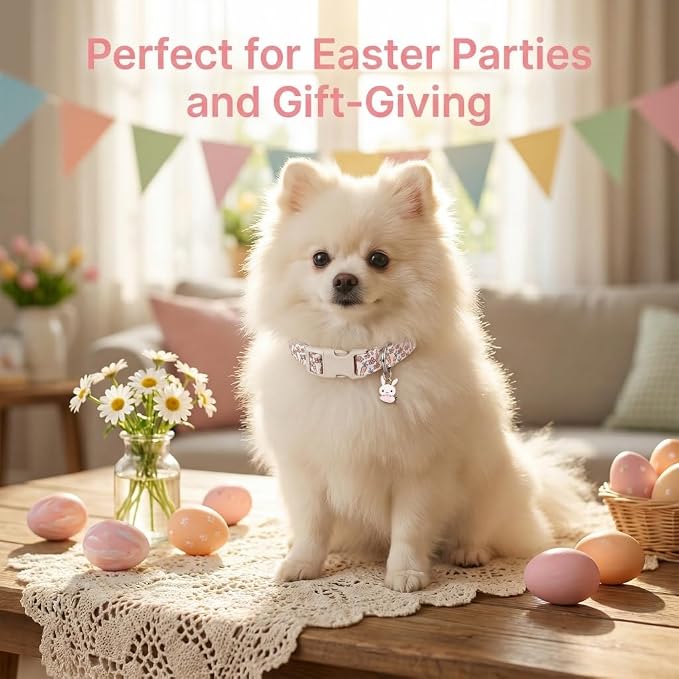 Small Dog Collar, Easter Dog Collar with Cute Easter Rabbit & Floral Pattern, Colorful Spring Dog Collar for Medium Dogs, Cute Puppy Collar