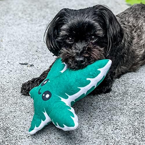 Wacky Leaf Dog Toy Funny Stuffed Plant Squeaker Chew Plush for Puppies