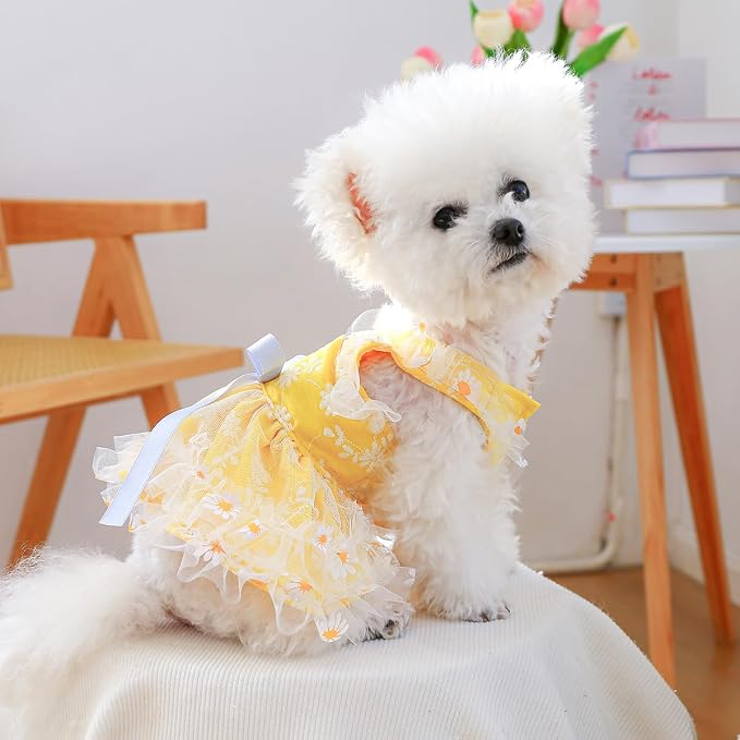 Dog Lace Dress Cat Suspender Skirt (Summer Daisy Suspender Skirt,S) | Summer Autumn Small & Medium Pet Party Dress For Yorkie Maltese Chihuahua Pug Shih Tzu Toy Poodle French Bulldog