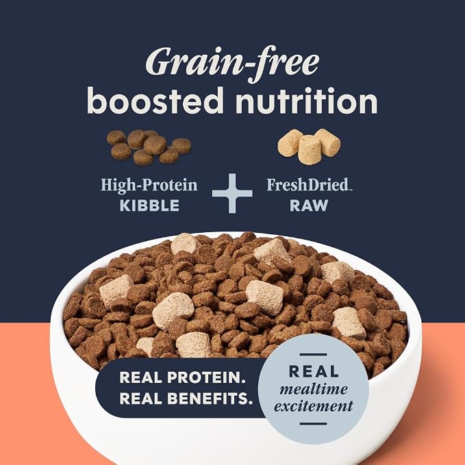 Instinct RawBoost, Dry Cat Food + Freeze Dried, Real Salmon, 4.5 lb Bag | High-protein kibble with FreshDried raw bites, grain-free, real salmon recipe, minimally processed, complete nutrition