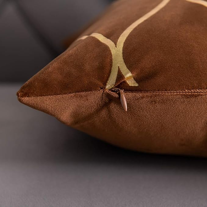 Gold Velvet Throw Pillow Covers: 2 Pack 22x22 Inch Square Decorative Pillow Cases for Bedroom Sofa Couch Living Room, Light Brown