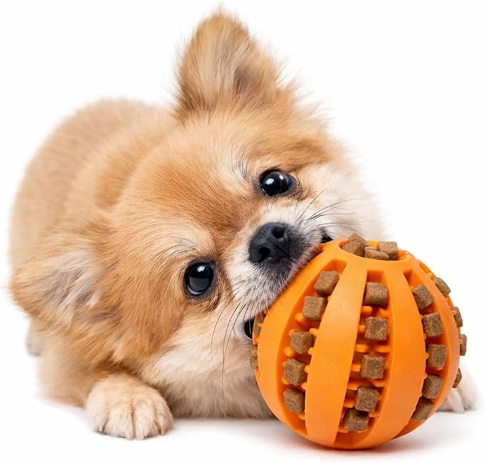 Dog Treat Ball for Small Dogs – Interactive Chew Toy, Teeth Cleaning & Mental Stimulation, Durable Rubber Treat Dispensing Toy