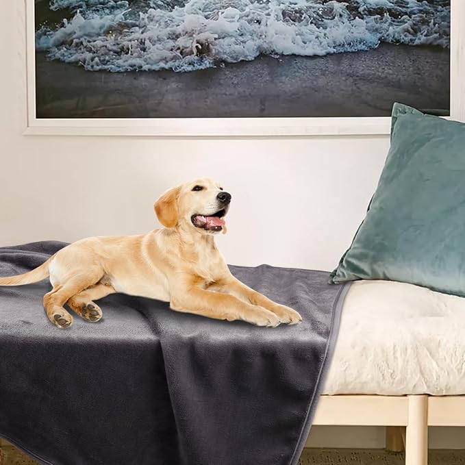 Onarway Dog Blanket Washable for Puppy: 4 Packs Dog Blankets 40”x28” | Fluffy Soft Small Throw for Cat Puppy Kitten Dogs - Fleece Pet Blankets for Bed Sofa Car and Indoor - Purple