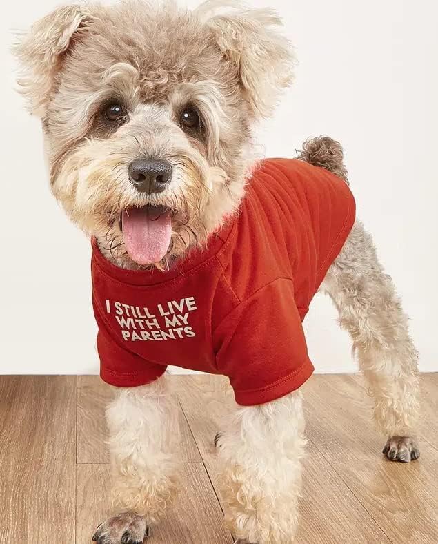 Cute Dog Clothes, T Shirt for Medium and Small Dogs Girl Boy,Puppy.Breathable Soft Dog Costume for Pet Dogs Cats, Pet Pullover Jumper, Cat Clothes (XL-(16~20lb), Chest~20", Red, Parents)